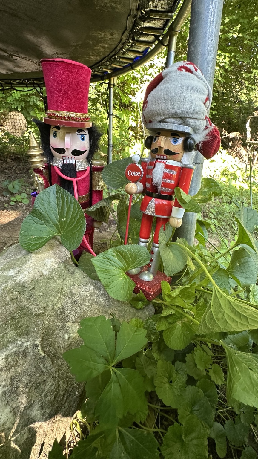 Mikhail and PewCoker concealed in vegetation