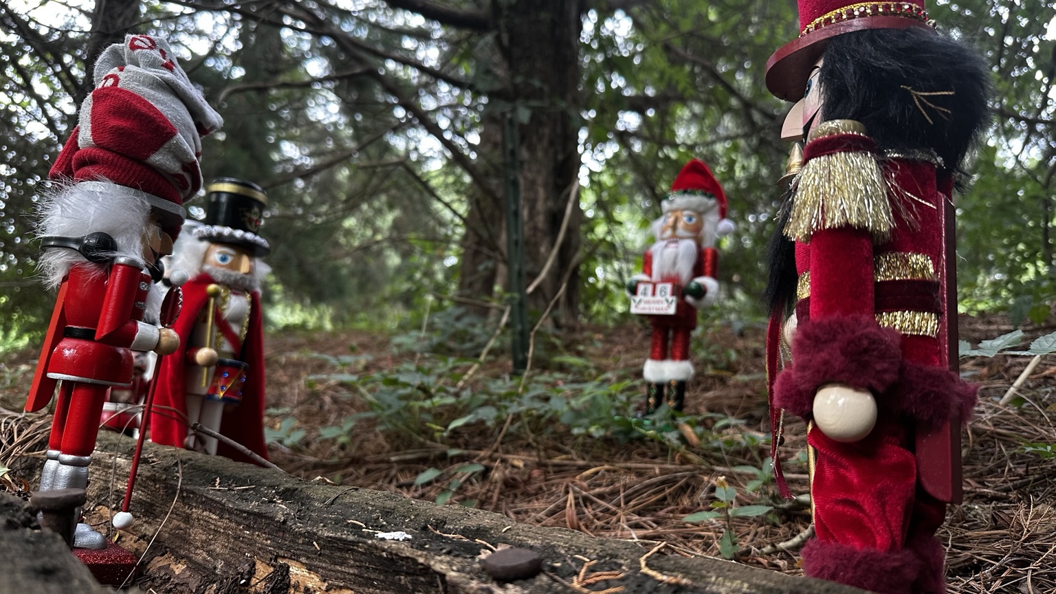 Spycrackers field team assembled beneath a rocky observation point in dense woodland