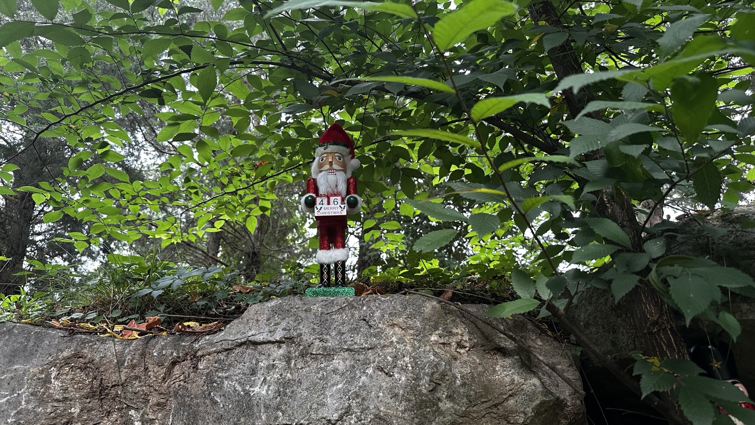 Nikolai standing on a large rock during woodland reconnaissance
