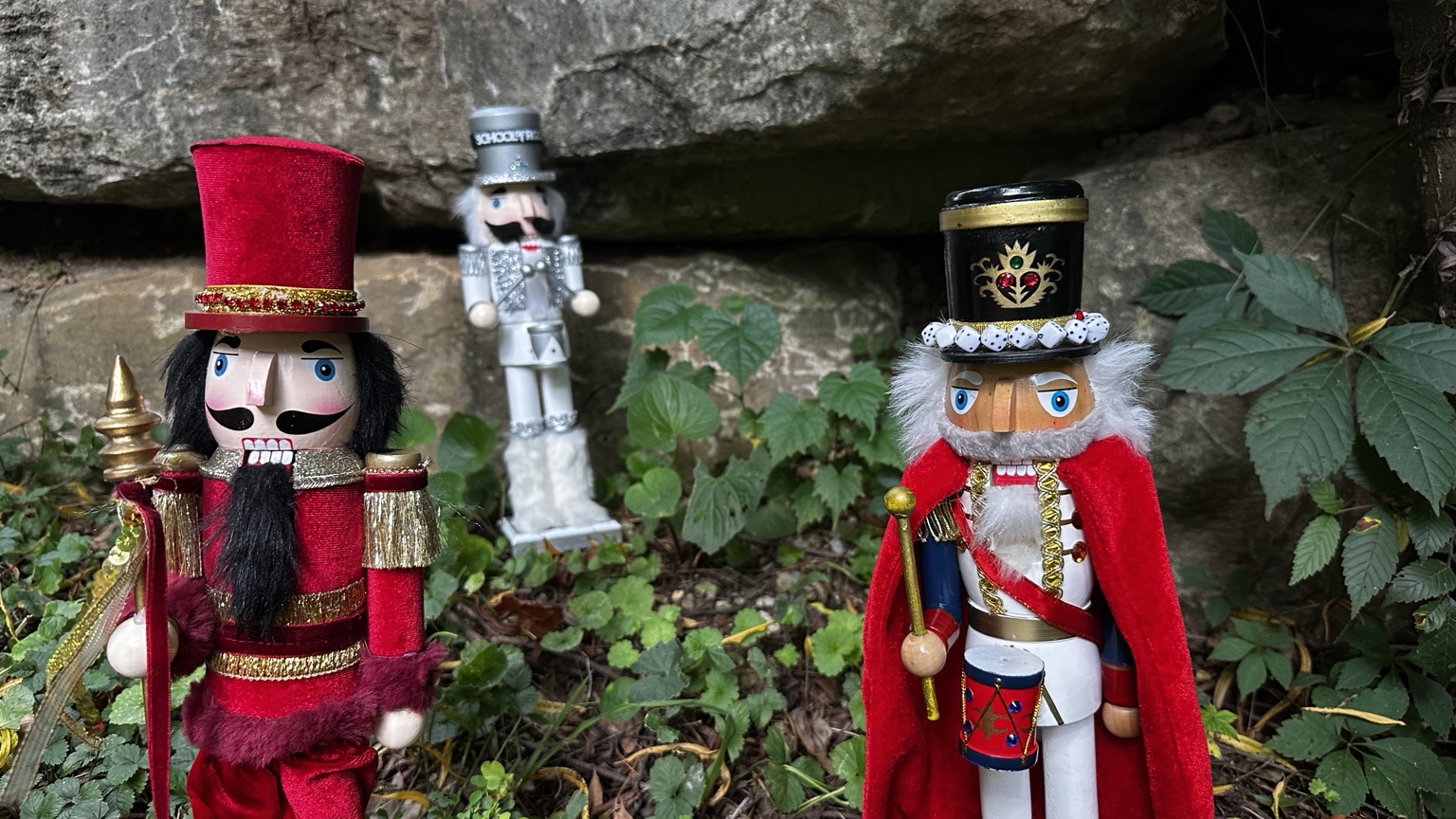 Spycrackers field team gathered among rocks and vegetation