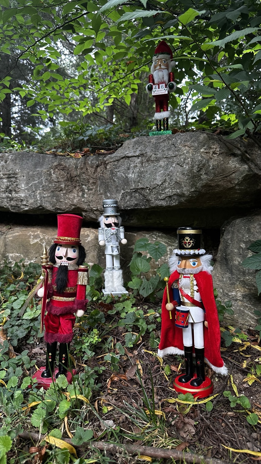 Spycrackers posed beneath a rock formation in dense vegetation