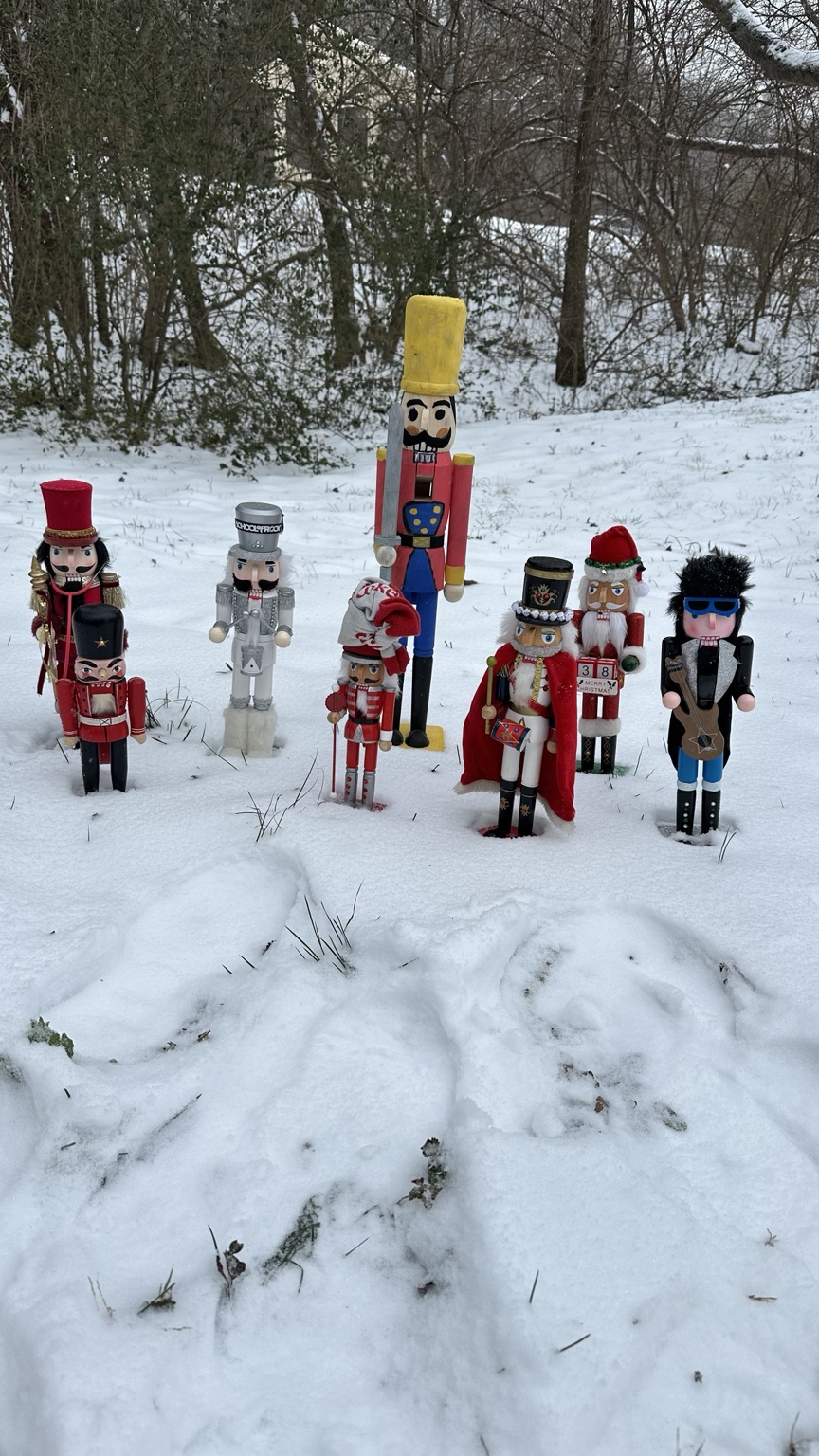 Spycrackers field team in the snow