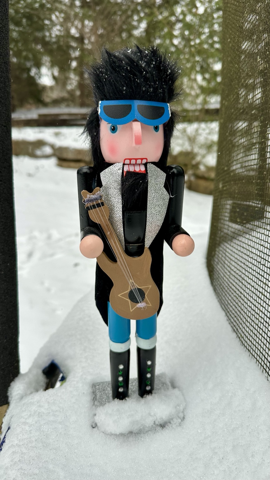 Spycracker carrying guitar in the snow