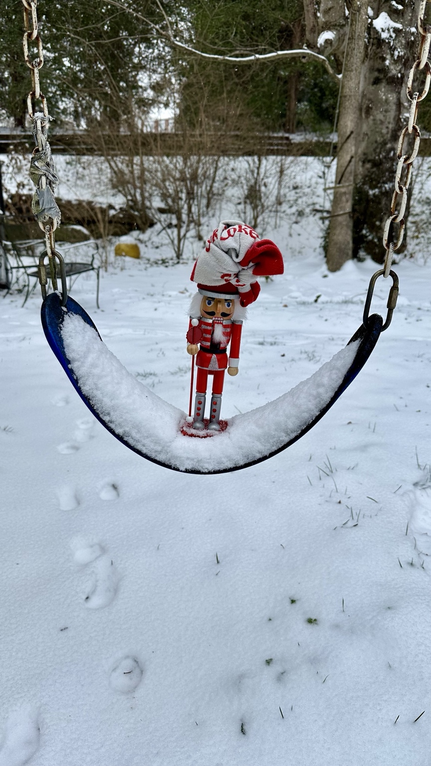 PewCoker at the swing set in snow