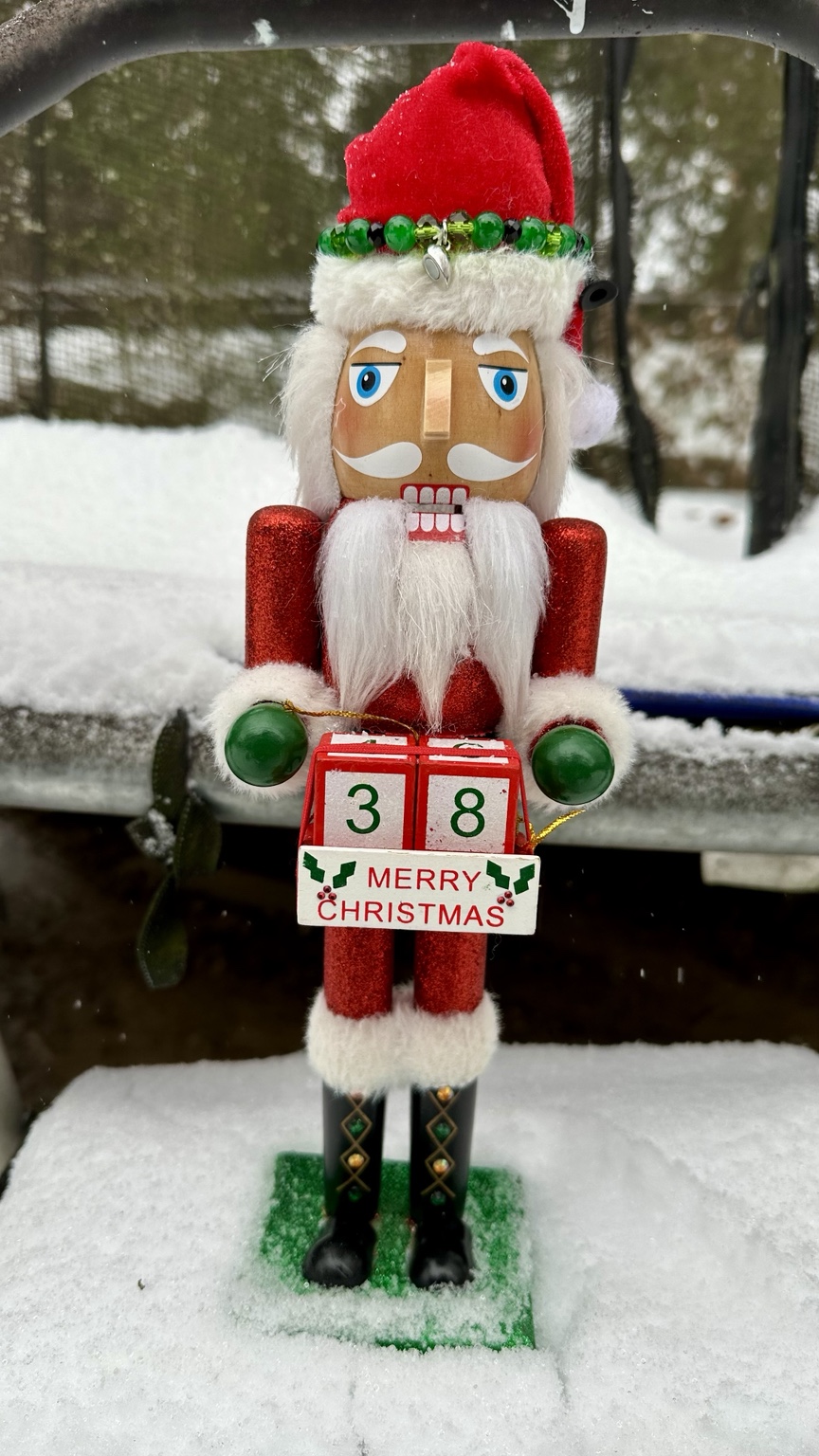 Spycracker holding Christmas countdown display in snow